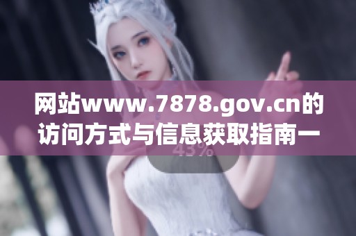 网站www.7878.gov.cn的访问方式与信息获取指南一览