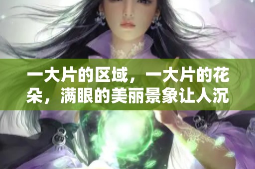 一大片的区域，一大片的花朵，满眼的美丽景象让人沉醉。