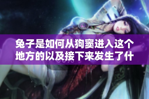兔子是如何从狗窦进入这个地方的以及接下来发生了什么