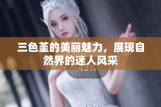 三色堇的美丽魅力，展现自然界的迷人风采