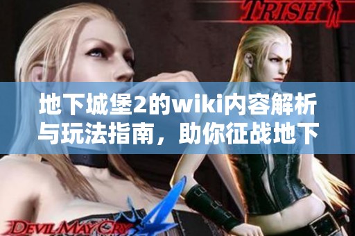 地下城堡2的wiki内容解析与玩法指南，助你征战地下城堡的世界
