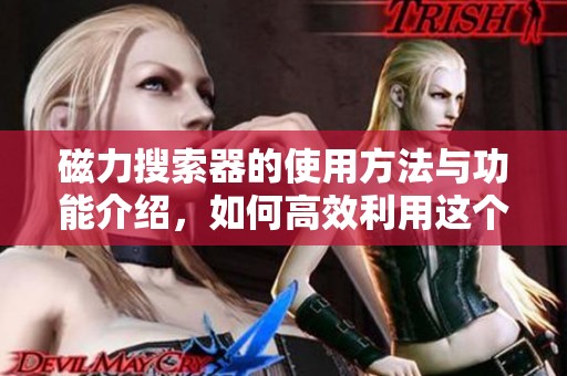 磁力搜索器的使用方法与功能介绍，如何高效利用这个工具增强搜索体验
