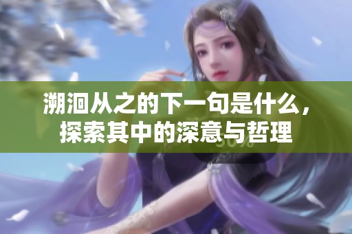 溯洄从之的下一句是什么，探索其中的深意与哲理