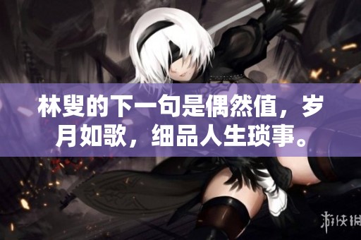 林叟的下一句是偶然值，岁月如歌，细品人生琐事。