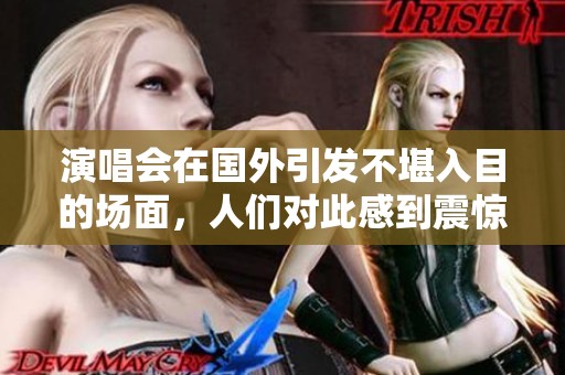 演唱会在国外引发不堪入目的场面，人们对此感到震惊和失望