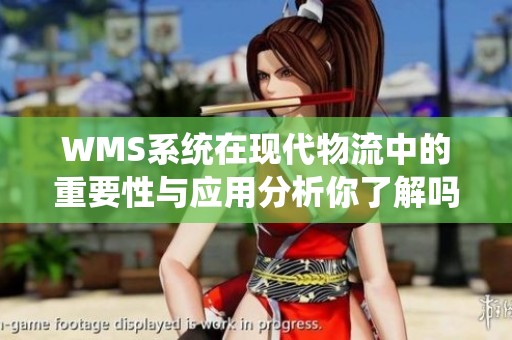 WMS系统在现代物流中的重要性与应用分析你了解吗