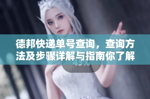 德邦快递单号查询，查询方法及步骤详解与指南你了解了吗