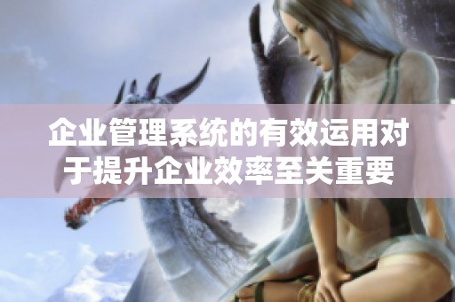 企业管理系统的有效运用对于提升企业效率至关重要