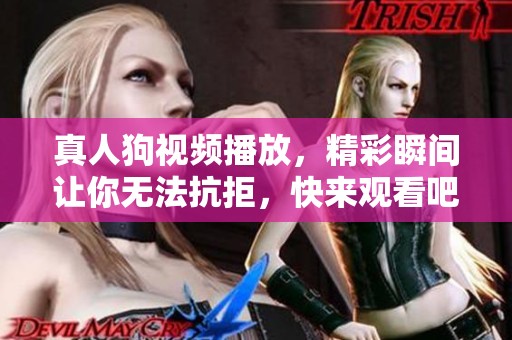 真人狗视频播放，精彩瞬间让你无法抗拒，快来观看吧！