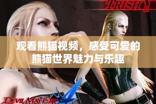 观看熊猫视频，感受可爱的熊猫世界魅力与乐趣