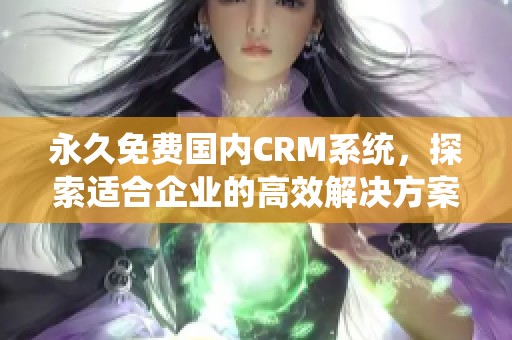永久免费国内CRM系统，探索适合企业的高效解决方案