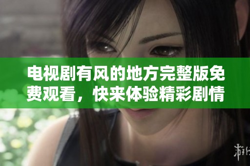 电视剧有风的地方完整版免费观看，快来体验精彩剧情的魅力吧！