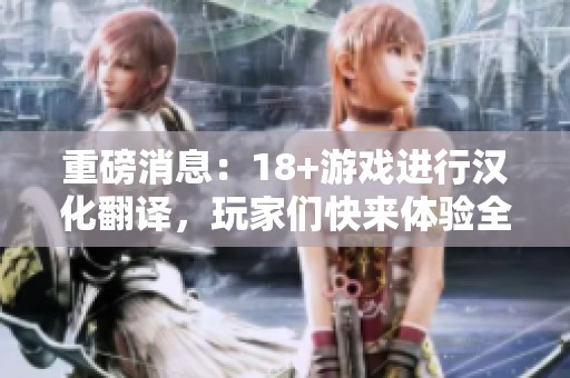 重磅消息：18+游戏进行汉化翻译，玩家们快来体验全新内容！