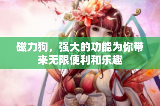 磁力狗，强大的功能为你带来无限便利和乐趣