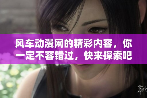 风车动漫网的精彩内容，你一定不容错过，快来探索吧