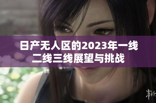 日产无人区的2023年一线二线三线展望与挑战