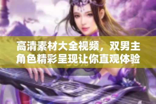 高清素材大全视频，双男主角色精彩呈现让你直观体验