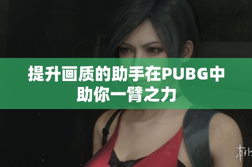 提升画质的助手在PUBG中助你一臂之力