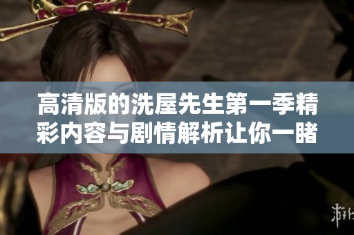 高清版的洗屋先生第一季精彩内容与剧情解析让你一睹为快
