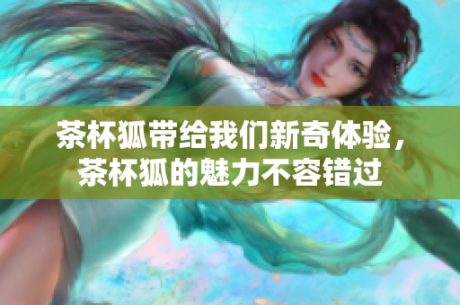 茶杯狐带给我们新奇体验，茶杯狐的魅力不容错过