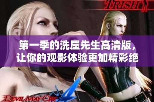 第一季的洗屋先生高清版，让你的观影体验更加精彩绝伦！