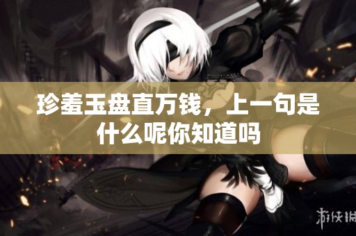 珍羞玉盘直万钱，上一句是什么呢你知道吗