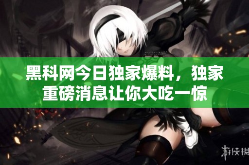 黑科网今日独家爆料，独家重磅消息让你大吃一惊