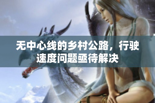 无中心线的乡村公路，行驶速度问题亟待解决