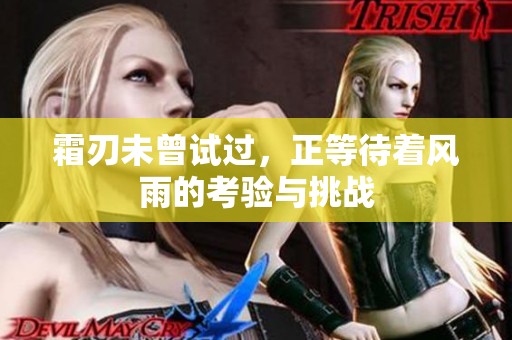 霜刃未曾试过，正等待着风雨的考验与挑战
