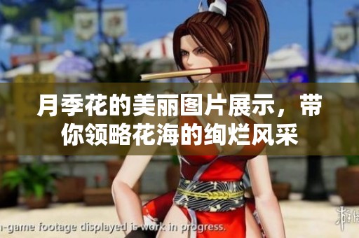月季花的美丽图片展示，带你领略花海的绚烂风采