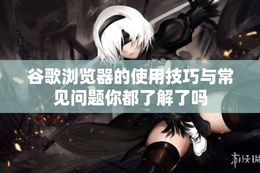 谷歌浏览器的使用技巧与常见问题你都了解了吗