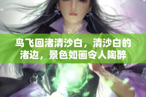 鸟飞回渚清沙白，清沙白的渚边，景色如画令人陶醉