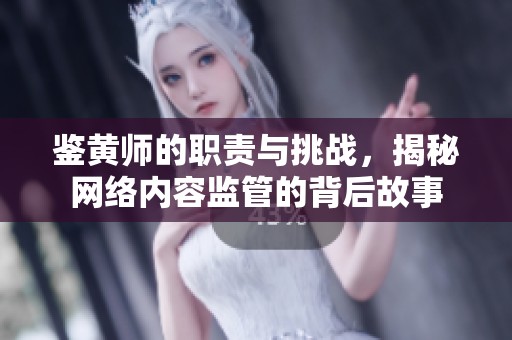 鉴黄师的职责与挑战，揭秘网络内容监管的背后故事