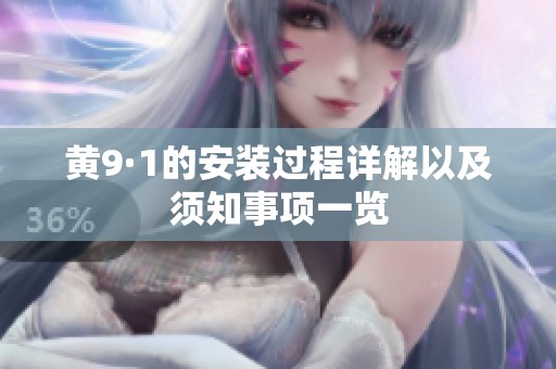 黄9·1的安装过程详解以及须知事项一览
