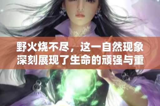 野火烧不尽，这一自然现象深刻展现了生命的顽强与重生的力量