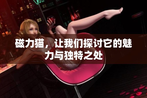 磁力猫，让我们探讨它的魅力与独特之处