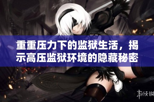 重重压力下的监狱生活，揭示高压监狱环境的隐藏秘密与挑战
