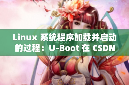 Linux 系统程序加载并启动的过程：U-Boot 在 CSDN 博客中的详细解析