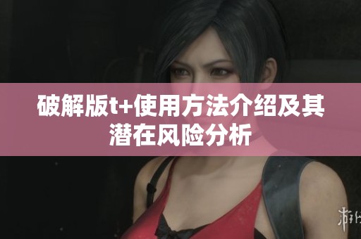 破解版t+使用方法介绍及其潜在风险分析