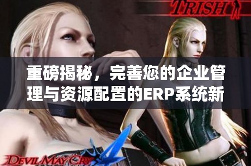 重磅揭秘，完善您的企业管理与资源配置的ERP系统新思路