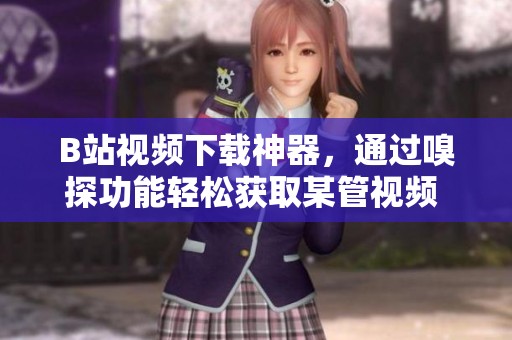 B站视频下载神器，通过嗅探功能轻松获取某管视频 - CSDN博客介绍
