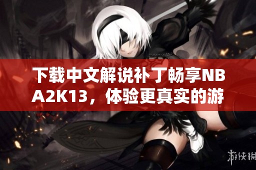 下载中文解说补丁畅享NBA2K13，体验更真实的游戏乐趣尽在其中！