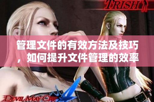 管理文件的有效方法及技巧，如何提升文件管理的效率与规范性