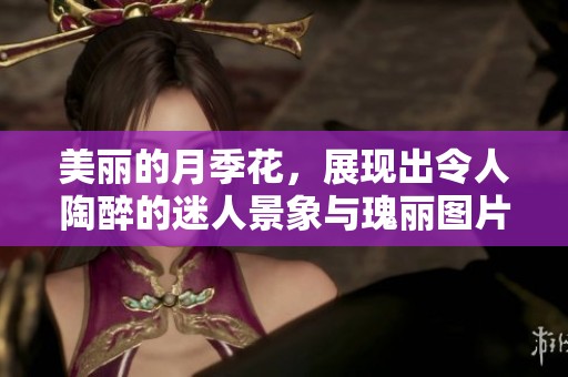 美丽的月季花，展现出令人陶醉的迷人景象与瑰丽图片
