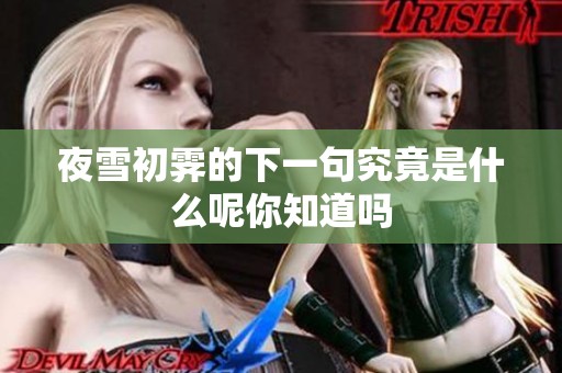 夜雪初霁的下一句究竟是什么呢你知道吗
