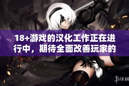 18+游戏的汉化工作正在进行中，期待全面改善玩家的游戏体验