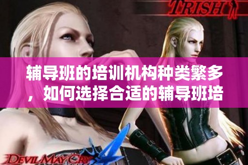 辅导班的培训机构种类繁多，如何选择合适的辅导班培训机构呢