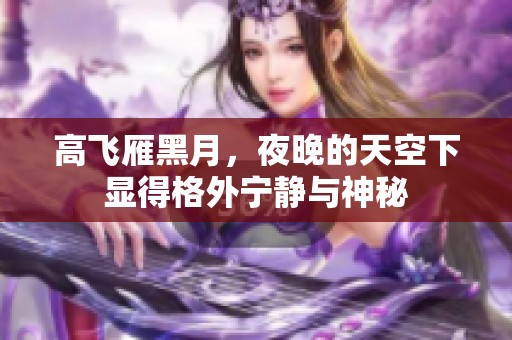 高飞雁黑月，夜晚的天空下显得格外宁静与神秘
