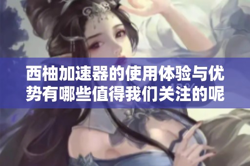 西柚加速器的使用体验与优势有哪些值得我们关注的呢