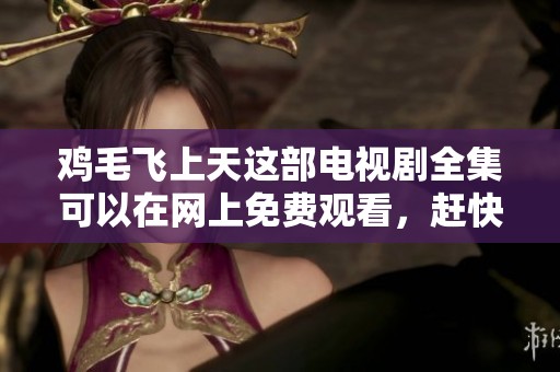 鸡毛飞上天这部电视剧全集可以在网上免费观看，赶快来观看吧！